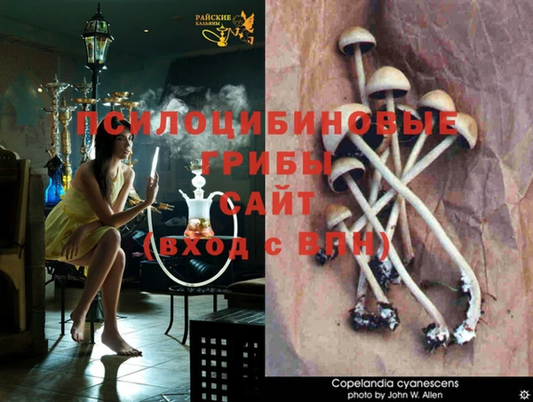 кокс Майский