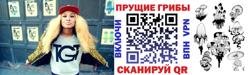 Псилоцибиновые грибы мицелий  блэк спрут рабочий сайт  Рязань  закладки 